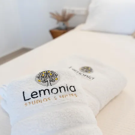 Lemonia Junior With Jacuzzi 公寓 *
